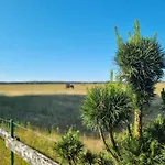 Dom Na Mazurach - Pod Jaworem
