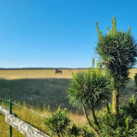 Dom Na Mazurach - Pod Jaworem