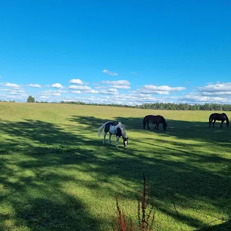 Casa vacanze Dom Na Mazurach - Pod Jaworem